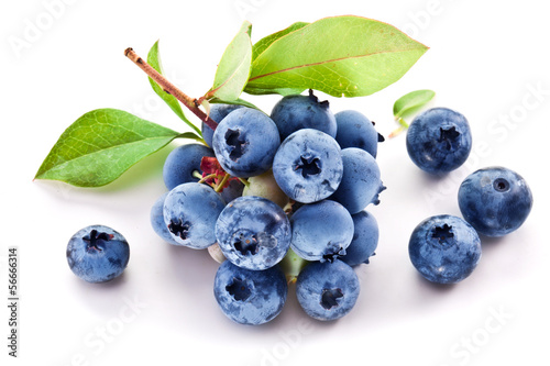 Blueberries with leaves on a white background. Fototapet