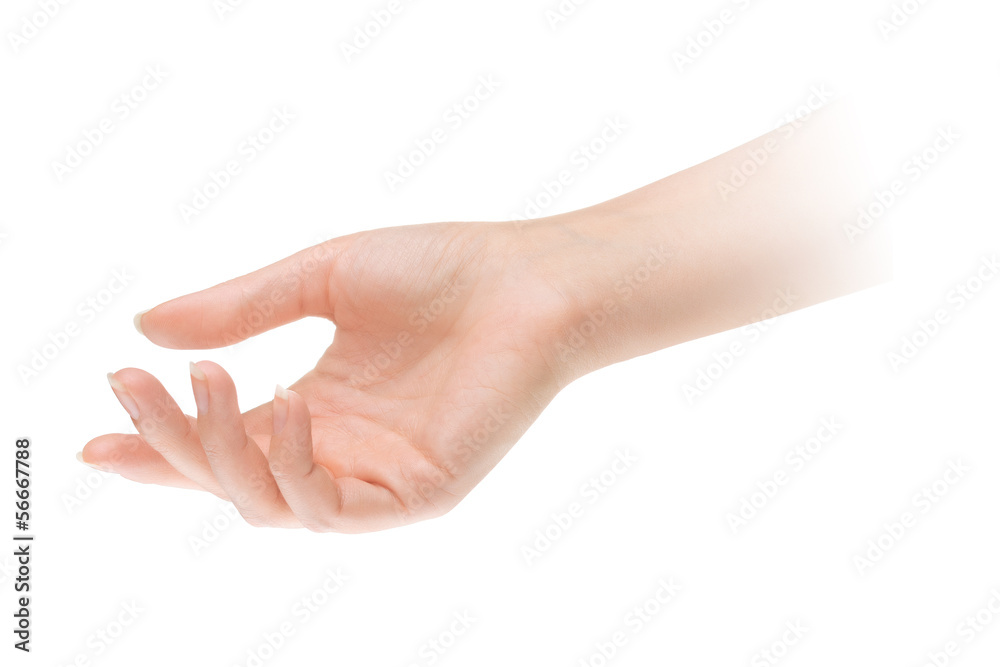 Empty open woman hand on white background Empty open woman hand on white background