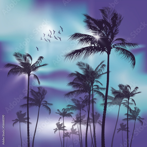 Palm trees at night in moonlight