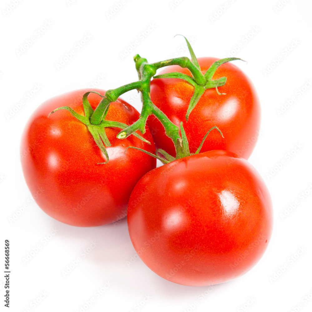 Closeup of tomatoes on the vine isolated on white. Tomato branch Closeup of tomatoes on the vine isolated on white. Tomato branch