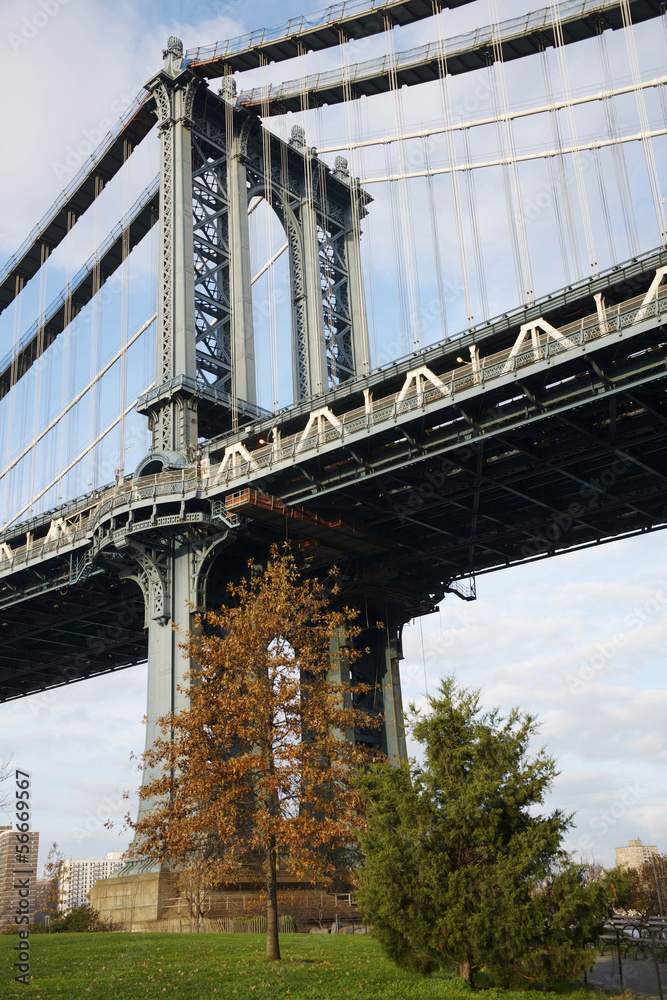 Fototapeta premium Manhattan bridge