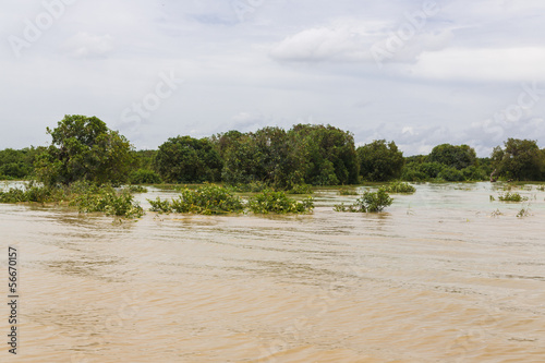 Tonle Sap lake © Andrei Starostin