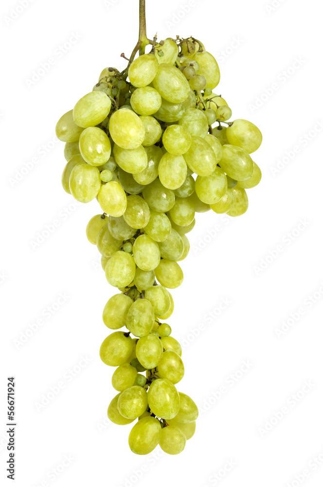 grape isolated on white background grape isolated on white background