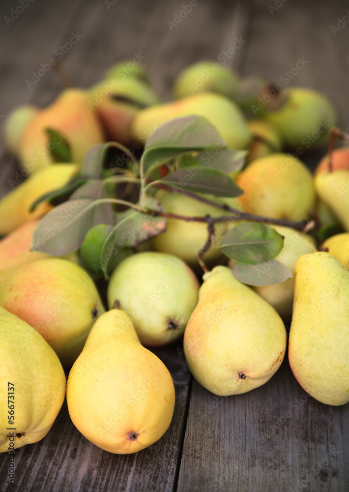 autumn pears