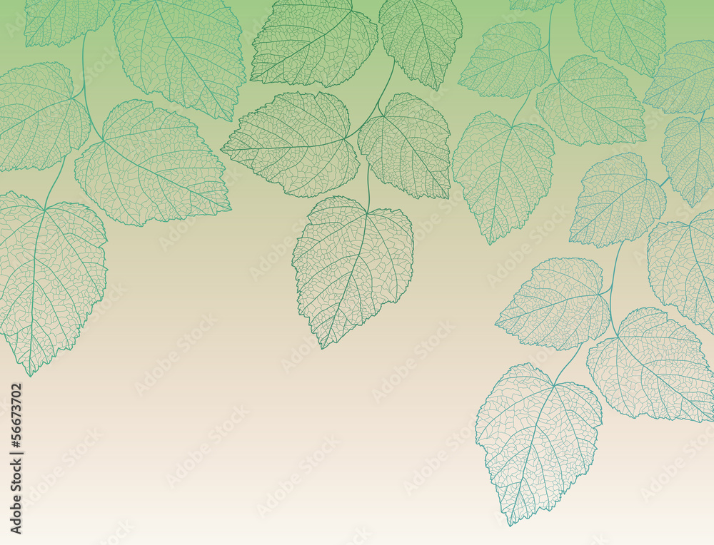 Nature background with leave vector Nature background with leave vector
