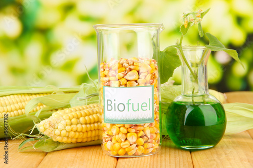 Photos Conceptual photo of bio fuel.  On bright background