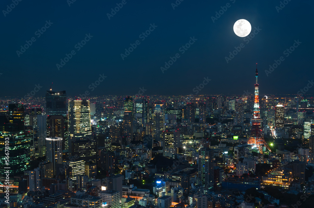 Fototapeta premium Pejzaż Tokio
