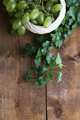 Fototapeta Naklejka Na Ścianę i Meble -  Ripe green grapes in basket on wooden table close-up