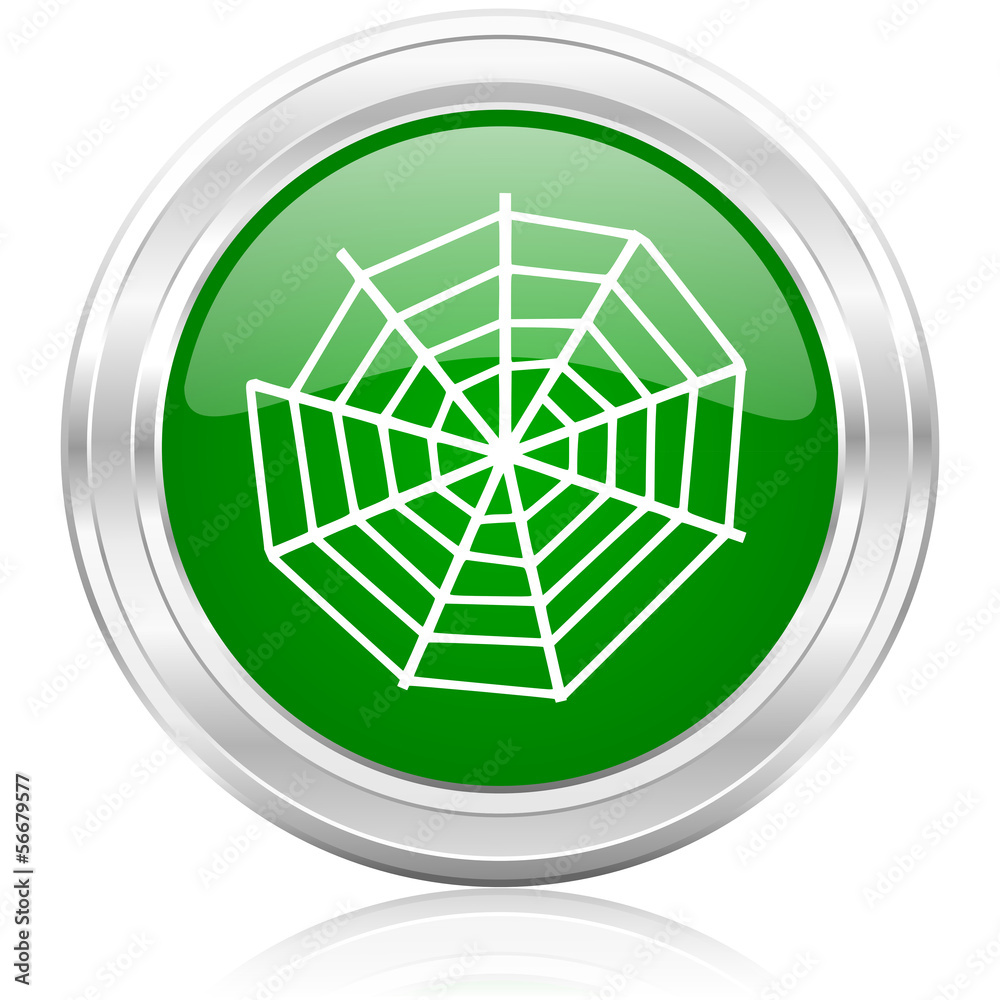 spider web spider web