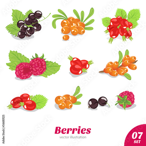 vector set of juicy berries