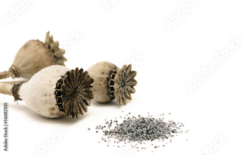 poppy seeds and poppy head isolated on white background photo