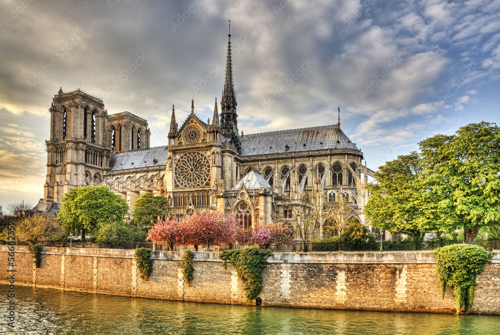 Naklejka premium Notre Dame de Paris Cathedral