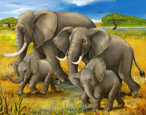 Safari - elephants - illustration for the children