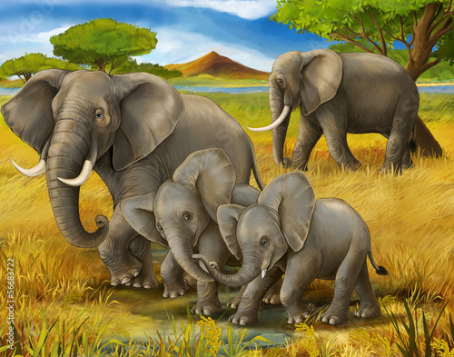 Safari - elephants - illustration for the children