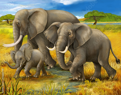 Safari - elephants - illustration for the children