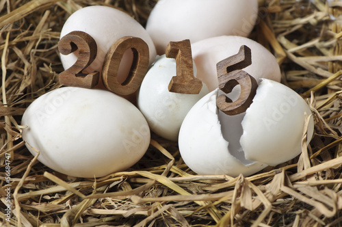 HaHappy New Year 2015 on a nest of hay, eggs concept. photo