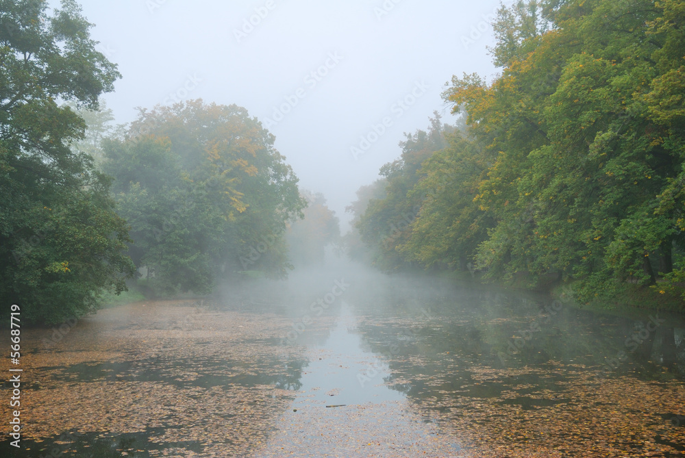 Long pond and forest park trees in misty morning weather