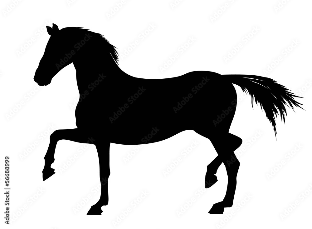 Naklejka Sylwetki konia