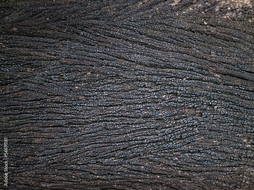 black wood texture background