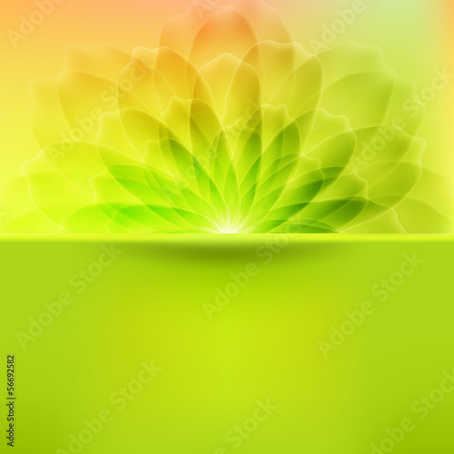 Rainbow flower on fresh green background