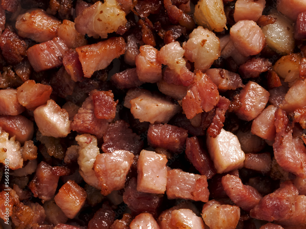 bacon bits bacon bits