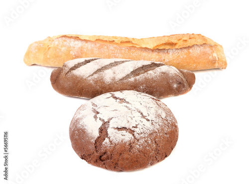 White and brown bred