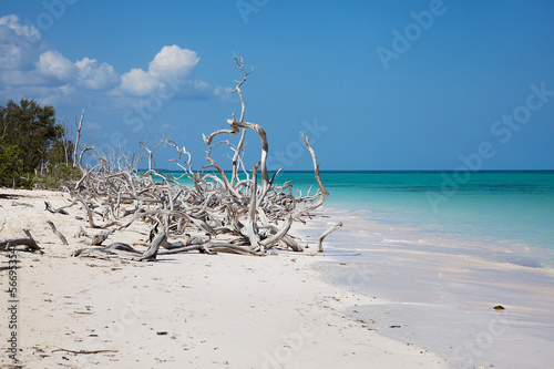 Photography Cayo Jutias 2