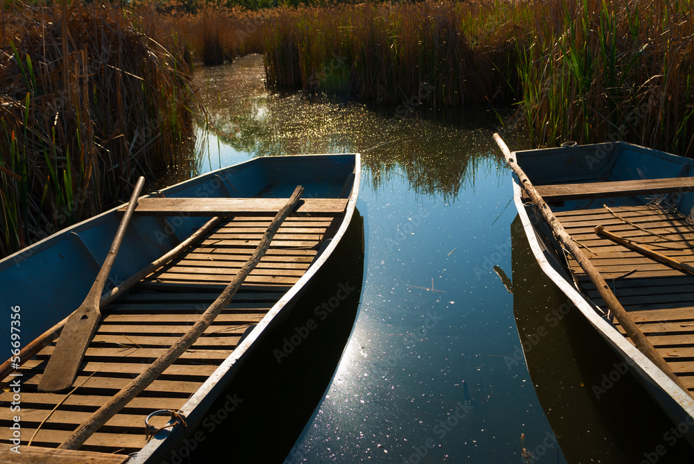 Boats are aligned on the shores of a lake