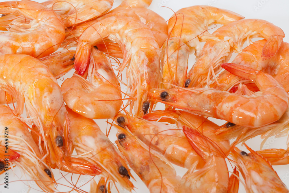 fresh shrimp  isolated on a white background