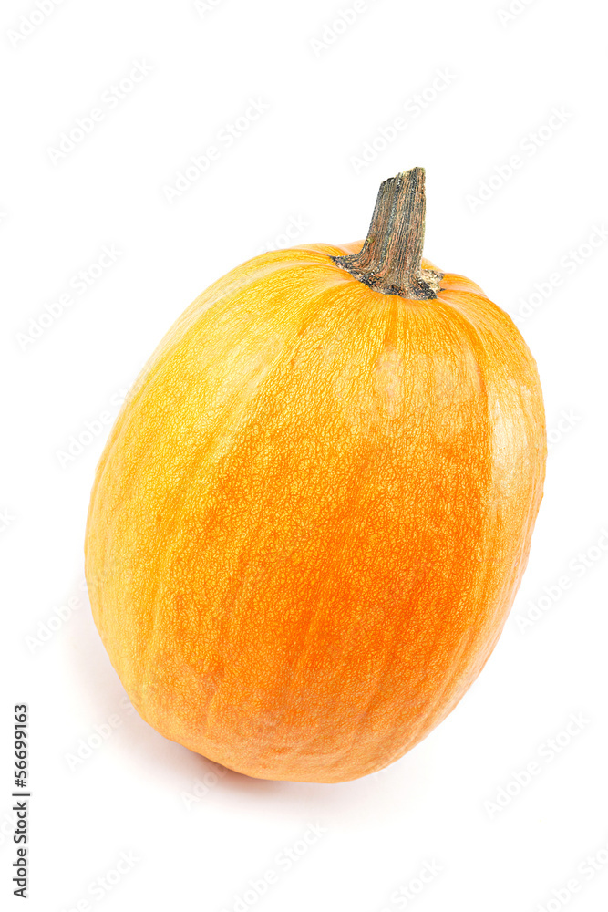 Pumpkin isolated on white background. Pumpkin isolated on white background.