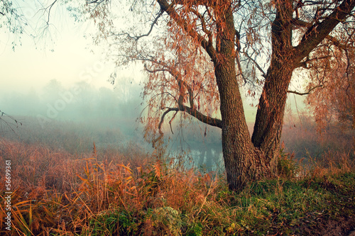 Mystical autumn landscape