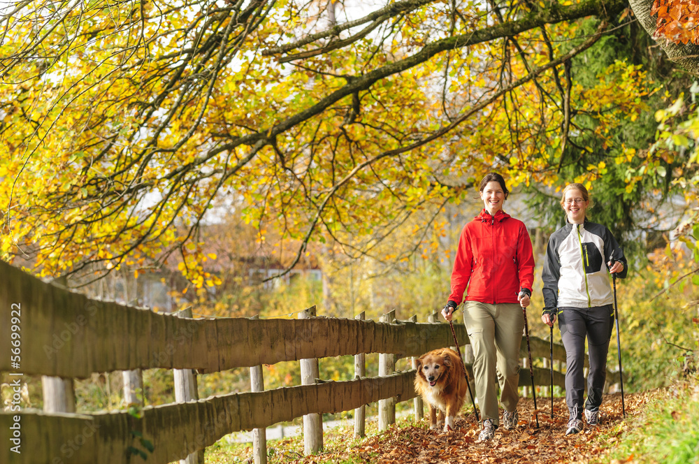 Fototapeta premium Nordic Walking im Herbst