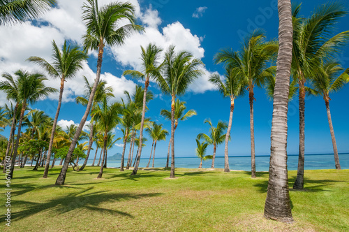 Tropical beach with palms © NilsZ