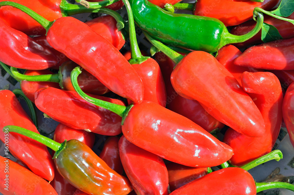 Peppers (chili) 4