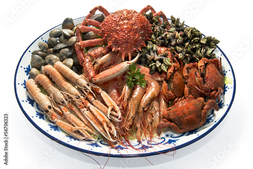 Fresh seafood