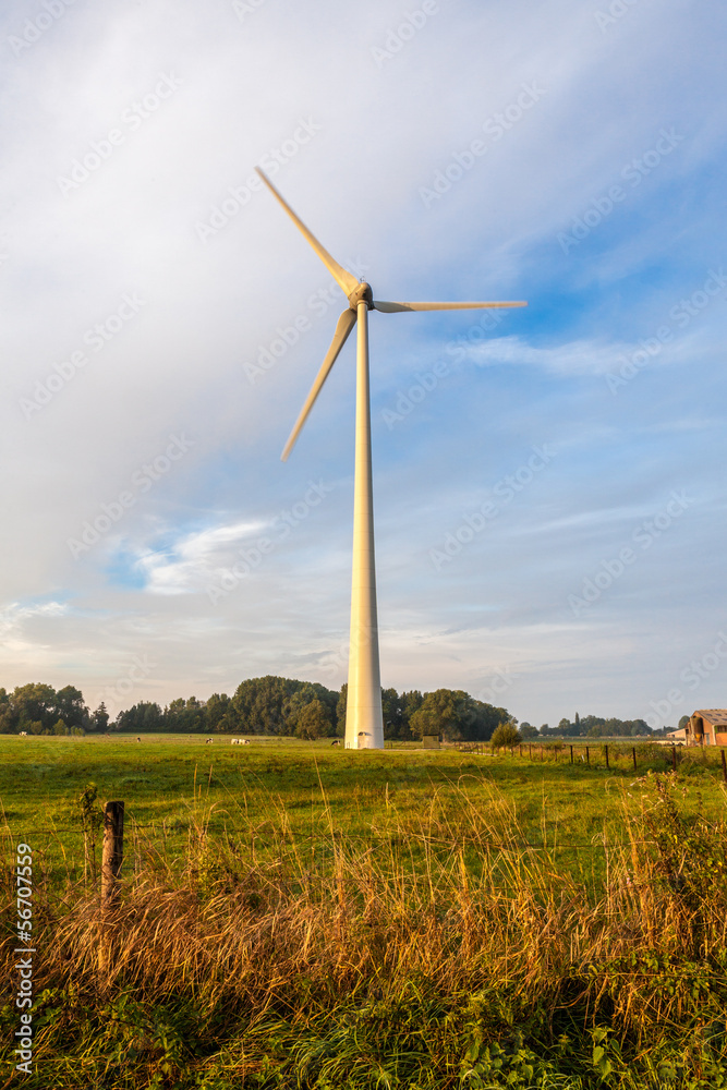 Fototapeta premium Blue sky whit Wind turbine