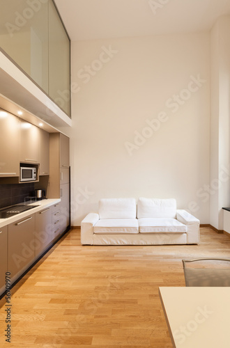 Interior  beautiful apartment  modern furniture