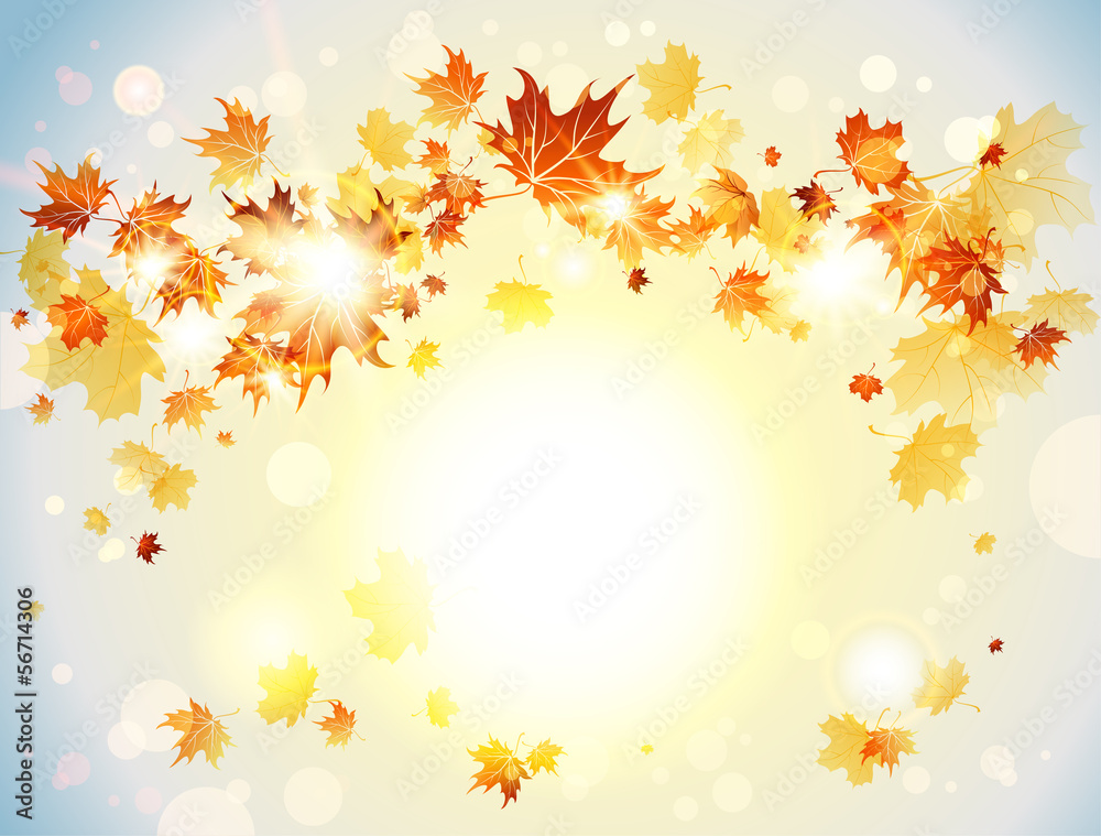 Positive background with autumn leaves