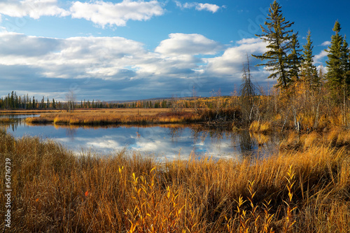 Lake near Fairbanks with dry high yellow grass in autumn