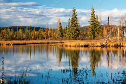 Lake near Fairbanks with dry yellow grass reflecting in water photo