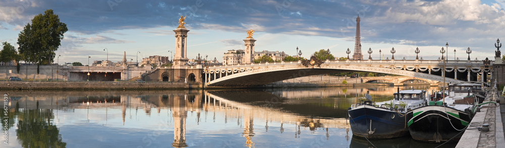 Naklejka premium Pont Alexandre III i Wieża Eiffla, Paryż