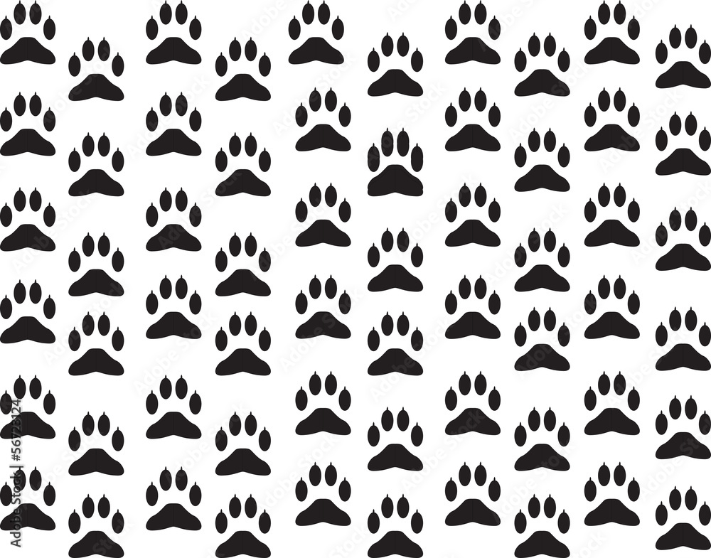 Dog foot print background illustrated on white Dog foot print background illustrated on white