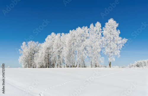 Countryside of Central Russia in winter