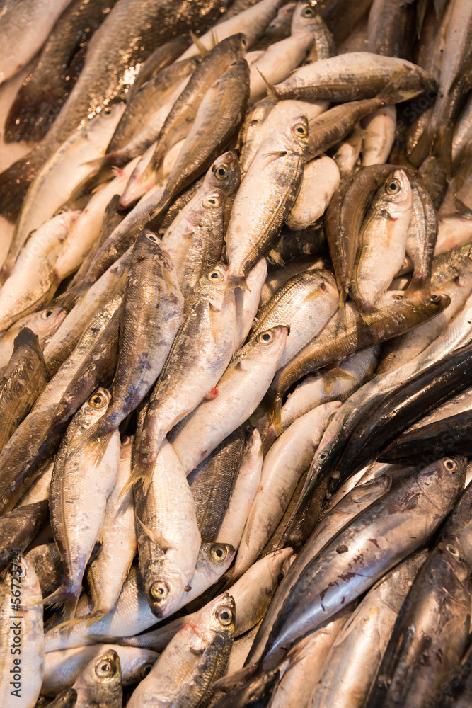Fototapeta premium Display of caught fish