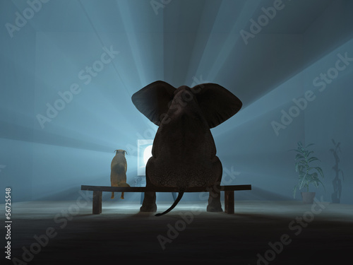 Photography elephant and dog watching TV during quarantine