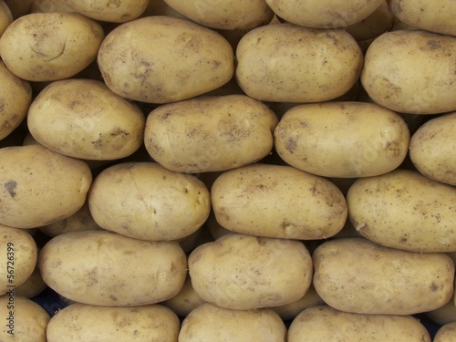 Rohe Kartoffeln auf einem Wochenmarkt und Basar im Stadtteil Erenköy in Sahrayicedit in Istanbul am Bosporus in der Türkei photo