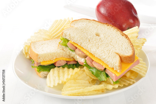 Photography Vienna sausage sandwich on a high key background