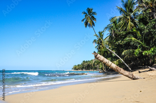 Perfect jungle beach © diegocardini