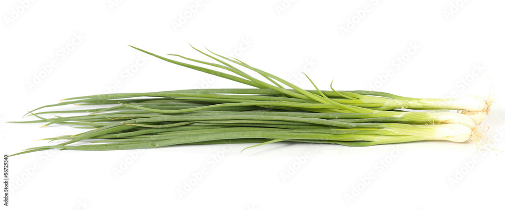 Onion isolated on white background Onion isolated on white background