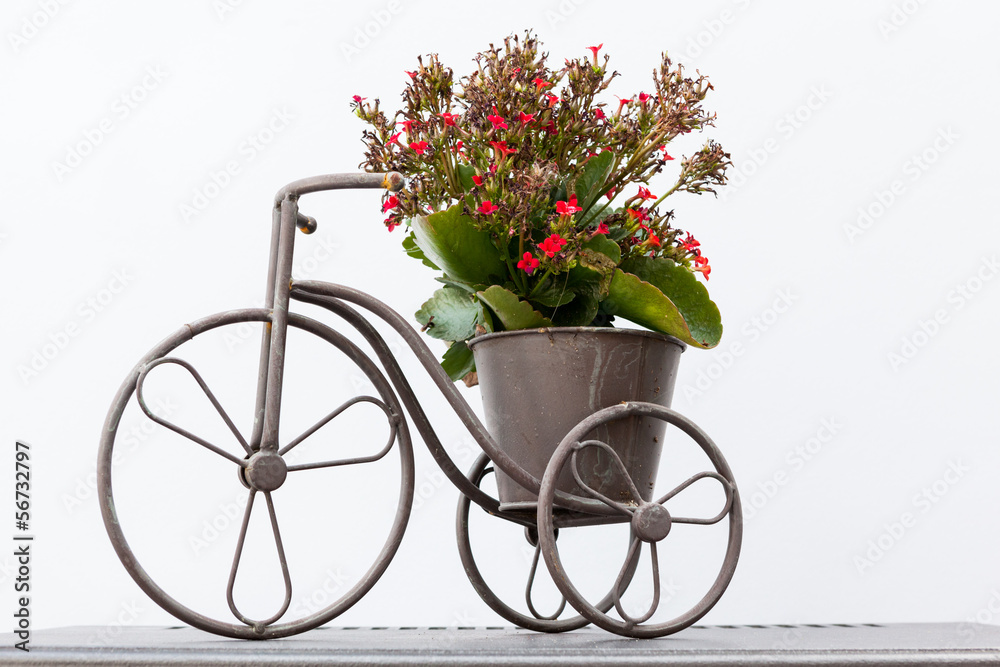 flower on a bike